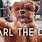 Carl the Dog