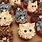 Cat Cupcakes Ideas