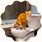 Cat Flushing Toilet