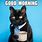 Cat Good Morning Coffee Meme