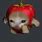 Cat On Apple