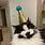 Cat Party Hat Meme