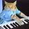 Cat Playing Piano Meme