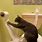 Cat Proof Toilet Paper Holder