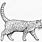 Cat Walking Illustration