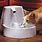 Cat Water Fountain