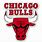 Chicago Bulls Sticker
