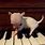 Chihuahua Playing Piano