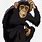 Chimpanzee Clip Art Free