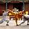 China Kung Fu Styles