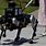 Chinese Robot Dog