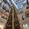 Christmas Tree for Mall