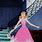 Cinderella Pink Dress Book