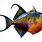 Colorful Fish PNG