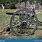 Confederate Cannon