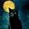 Cool Black Cat Art