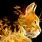 Cool Cat Wallpaper