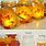 Cool Fall Crafts