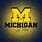 Cool Michigan Logos