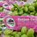 Cotton Candy Flavored Grapes