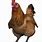 Counter Strike Chicken