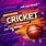 Cricket Banner Background