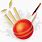 Cricket Bat and Ball PNG