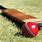 Cricket Bat with Ball