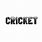 Cricket Font Style