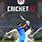 Cricket Games for Free