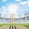 Cricket Pitch Wallpaper