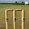 Cricket Stumps and Bails
