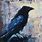 Crow Paintings Art