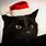 Cute Black Cats Christmas