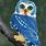 Cute Blue Owl