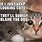 Cute Cat Memes Clean Funny