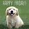 Cute Puppy Friday Memes