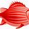 Cute Red Fish Clip Art