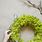 DIY Moss Wreath