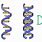 DNA and RNA Drawing