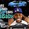 DaBaby Car Collection
