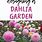 Dahlia Garden Plan