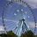 Dallas Ferris Wheel