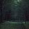 Dark Forest Background Aesthetic