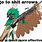 Decidueye Unite Memes