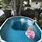 Deepest Backyard Pool