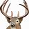 Deer Cartoon Head Clip Art