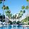 Delano Hotel Miami Beach