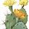 Desert Flower Clip Art