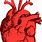 Detailed Human Heart Drawing